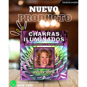 CHAKRAS ILUMINADOS: UN VIAJE VISIONARIO A TU MUNDO INTERIOR